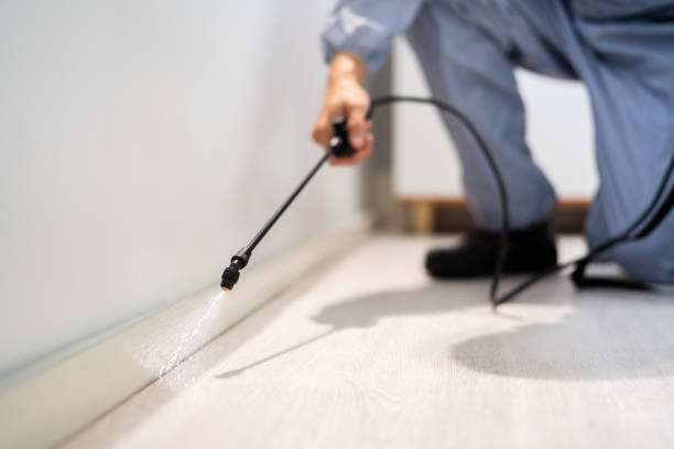 Licensed Pest Control service in Sitka, AK - Show Me Pest Control