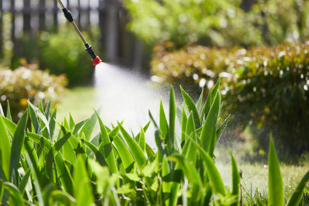 24/7 Emergency Mosquito Control experts in Sitka, AK