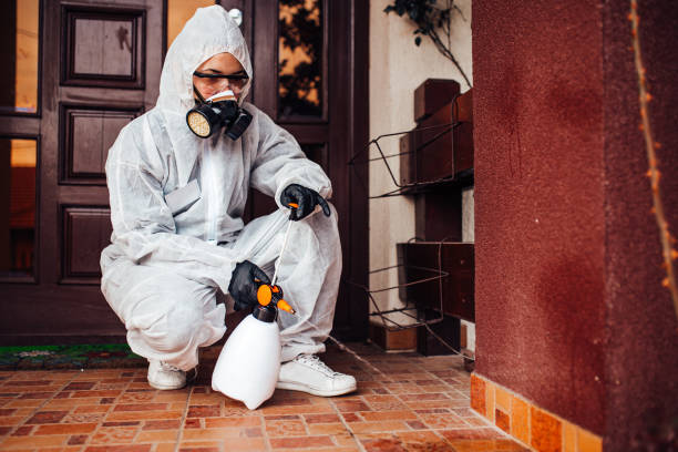 Reliable Mosquito Control contractor in Sitka, AK by Show Me Pest Control